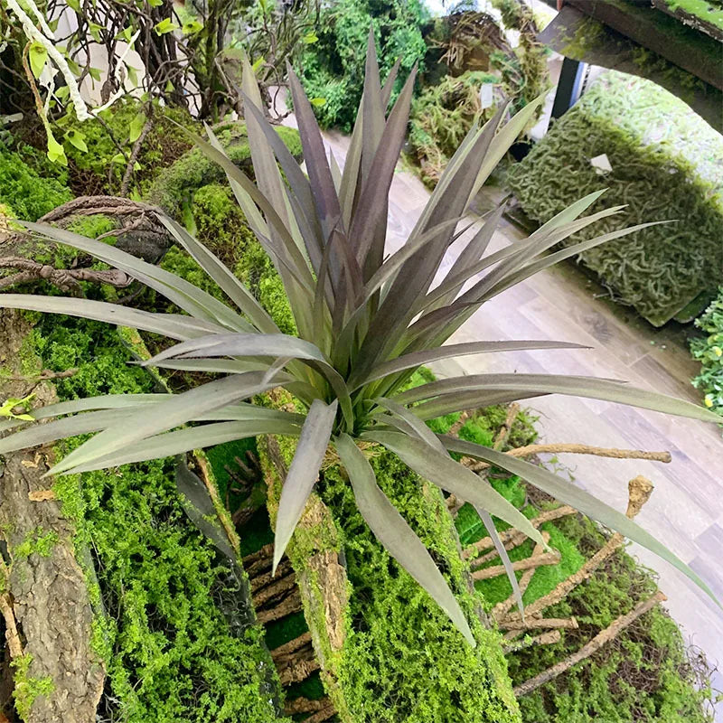 Artificial Grass Chlorophytum