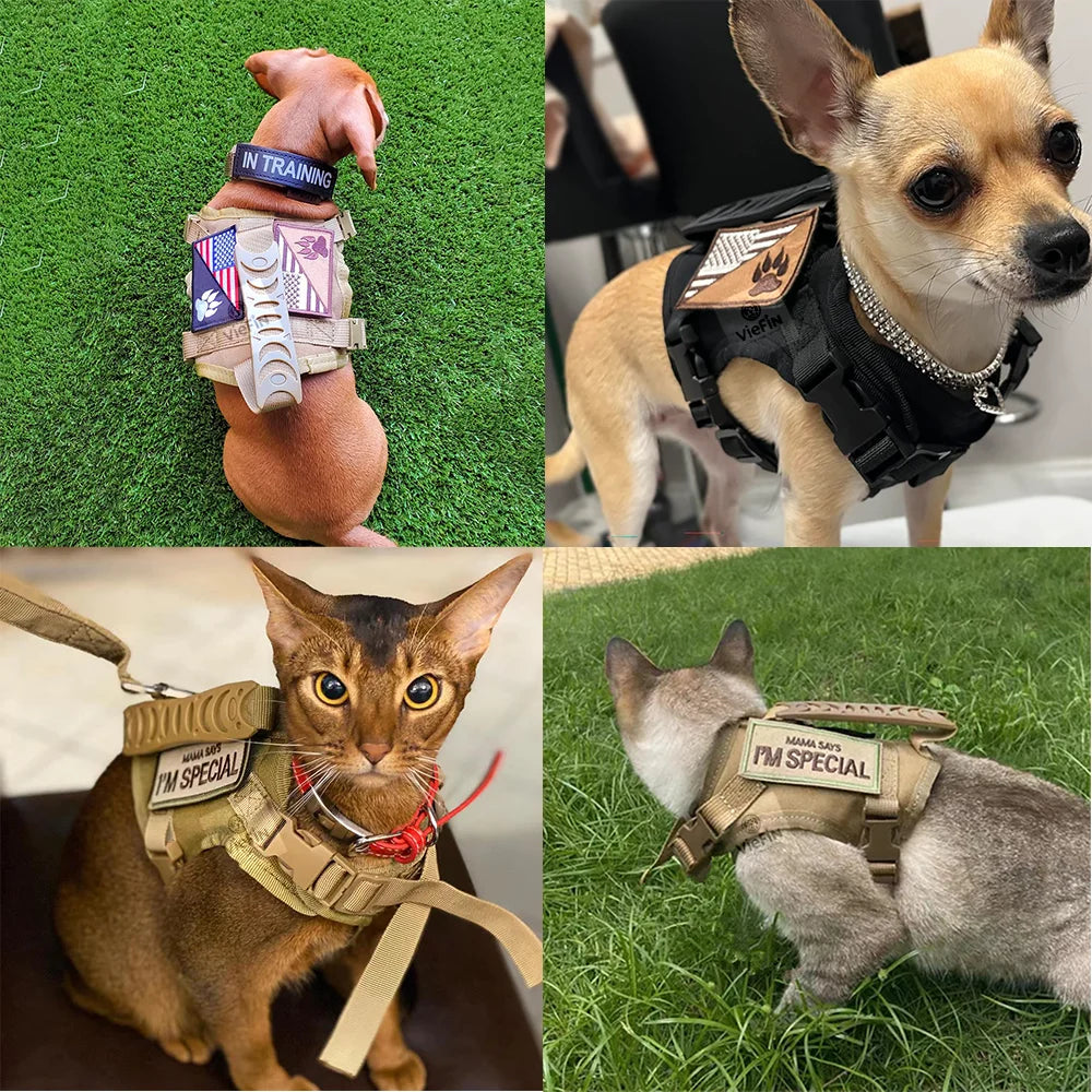Tactical Cat Harness Leash Set Escape Proof Breathable Military Vest and Velcro for Small Dog Kittens Puppies Walking & Training