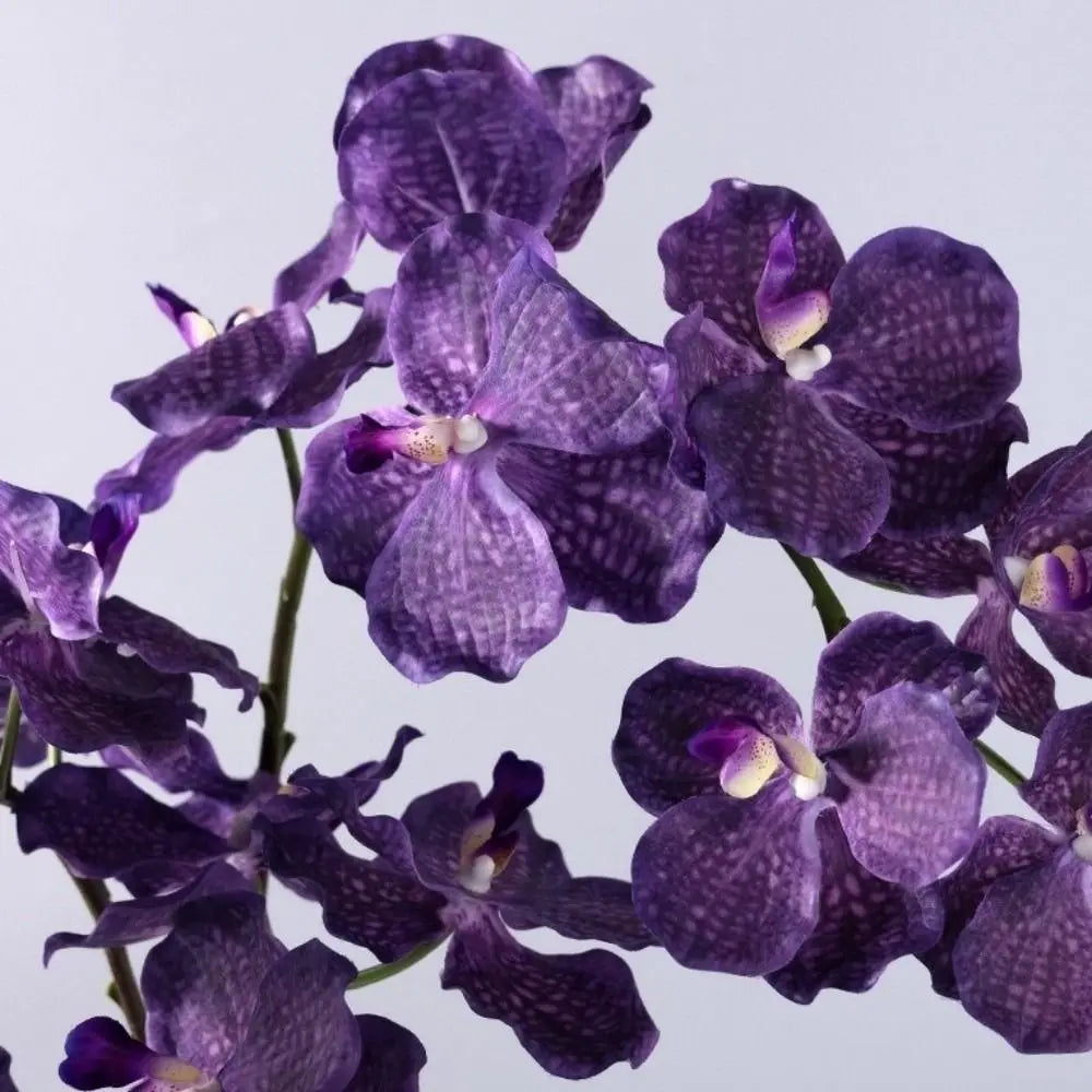 Real Touch Orchids Floral Arrangements Realistic Fake Flower