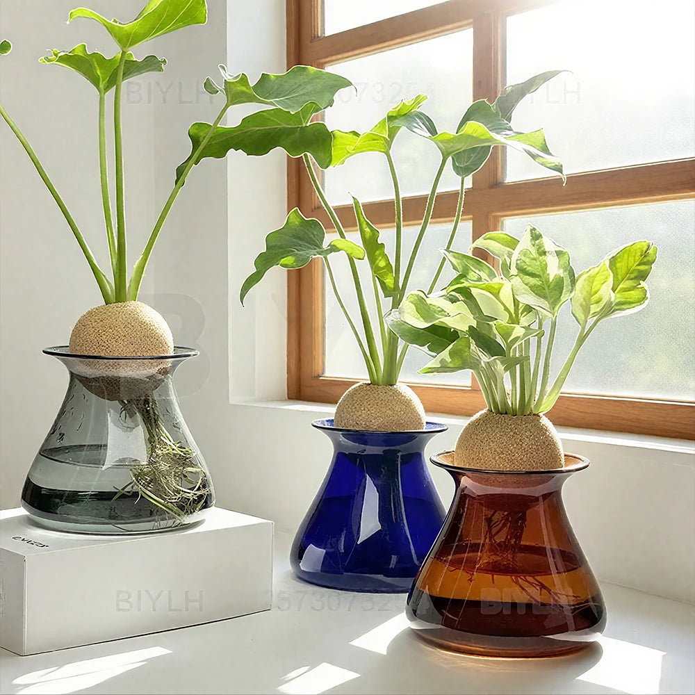 Transparent Hydroponic Plant Flower Arrangement Small Vase Tabletop Decor Ornaments