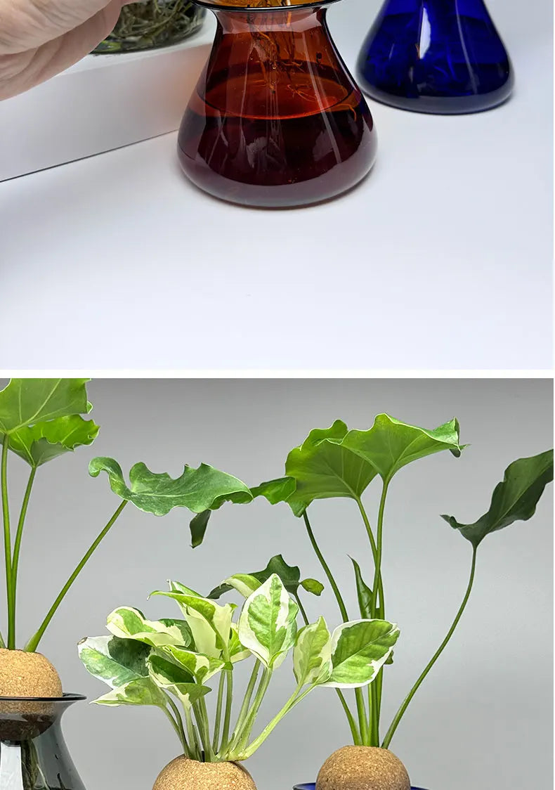 Transparent Hydroponic Plant Flower Arrangement Small Vase Tabletop Decor Ornaments
