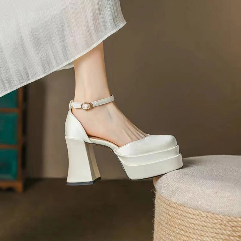 Women'S High Chunky Platform Closed Toe Block Heels Square Toe Ankle Strap Dress Wedding Party Prom Pumps Shoes