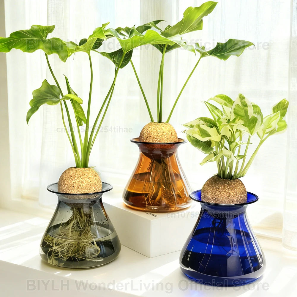 Transparent Hydroponic Plant Flower Arrangement Small Vase Tabletop Decor Ornaments