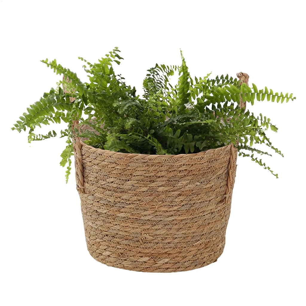Plant Basket Straw Vase Decoration With Handle Plant