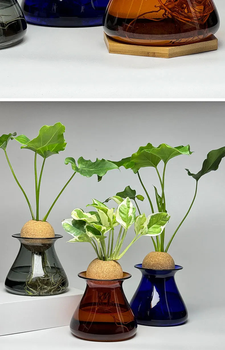 Transparent Hydroponic Plant Flower Arrangement Small Vase Tabletop Decor Ornaments