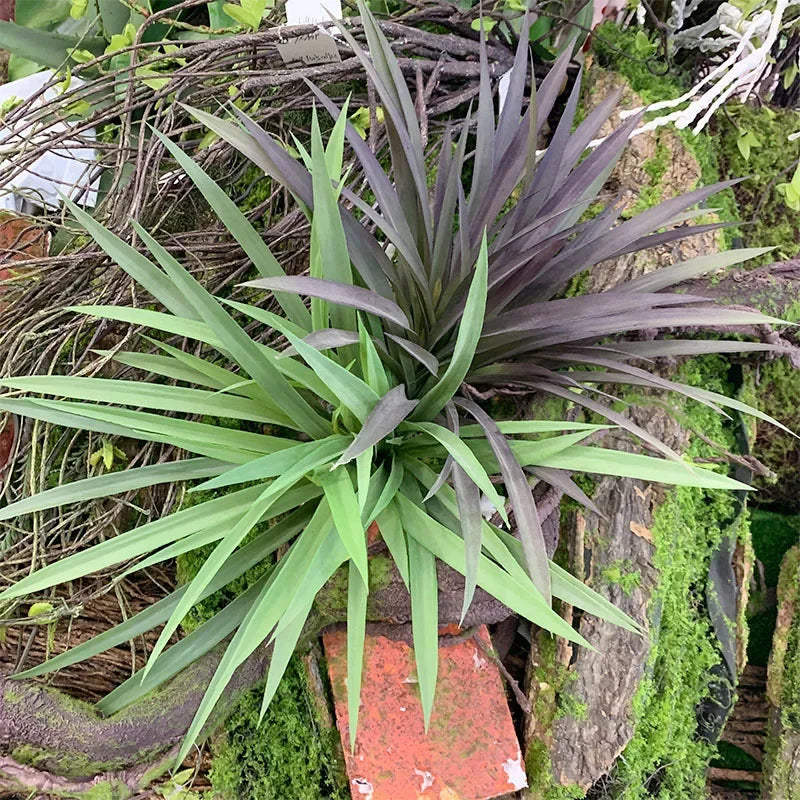 Artificial Grass Chlorophytum