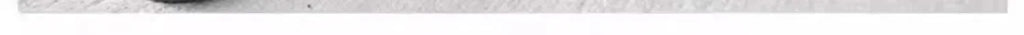Leggings Women Gothic Sexy Girl Womens Clothing Seamless Leggings Bell-bottomed Pants Women Y2k Shark Pants Winter High Street
