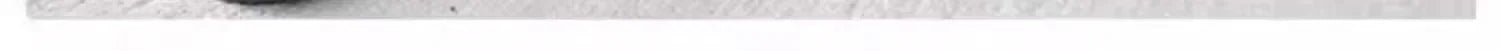 Leggings Women Gothic Sexy Girl Womens Clothing Seamless Leggings Bell-bottomed Pants Women Y2k Shark Pants Winter High Street