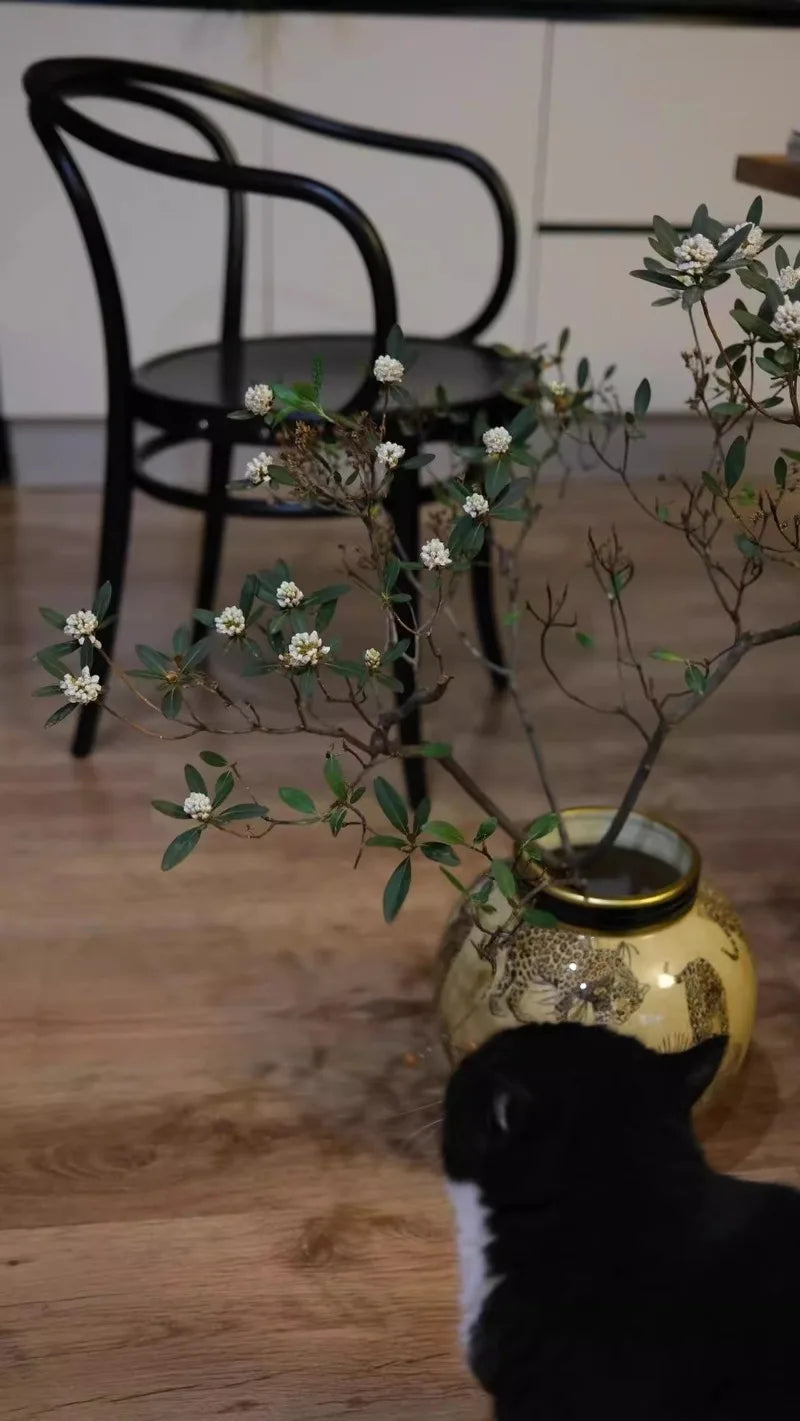 Ceramics Vases Modern Storage Flower Bottle Sculptures