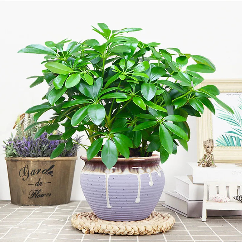 1pc, 13in Artificial Plant, Fake Leaves With Stem, Fake Plant
