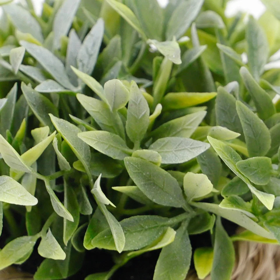 Green Artificial Potted Plant