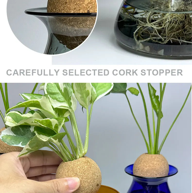 Transparent Hydroponic Plant Flower Arrangement Small Vase Tabletop Decor Ornaments