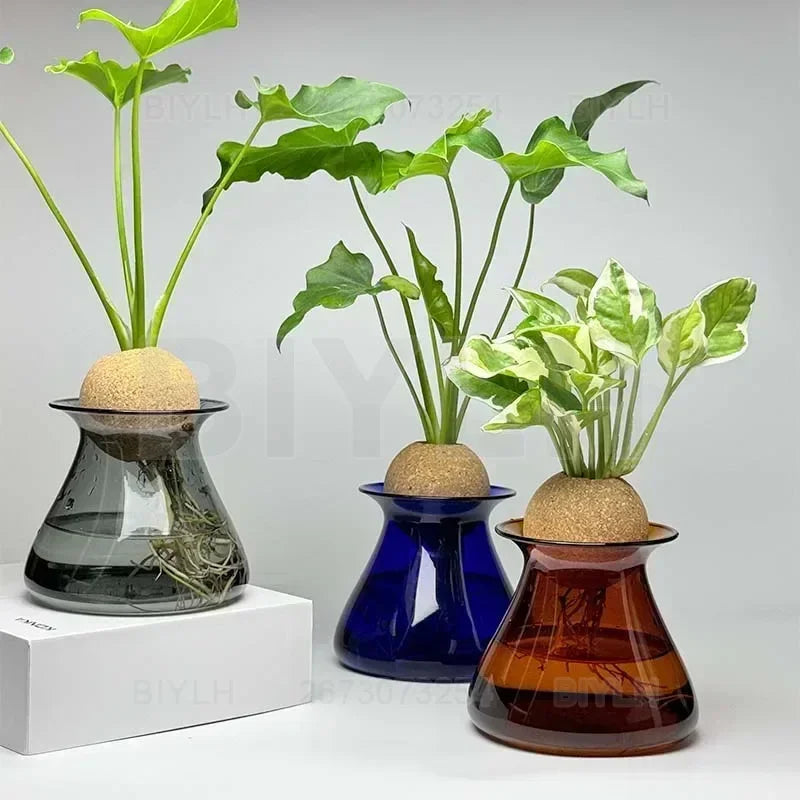 Transparent Hydroponic Plant Flower Arrangement Small Vase Tabletop Decor Ornaments