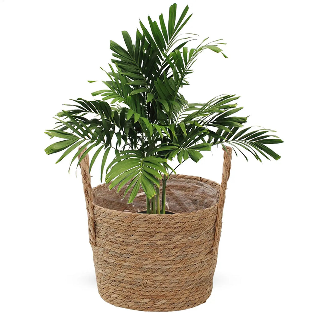 Plant Basket Straw Vase Decoration With Handle Plant
