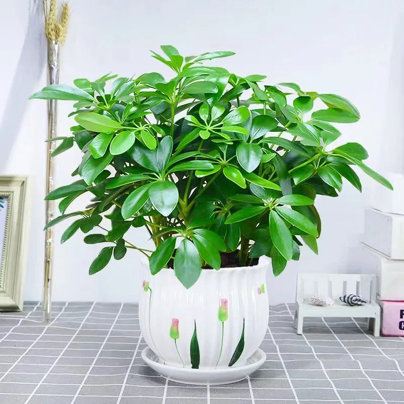1pc, 13in Artificial Plant, Fake Leaves With Stem, Fake Plant