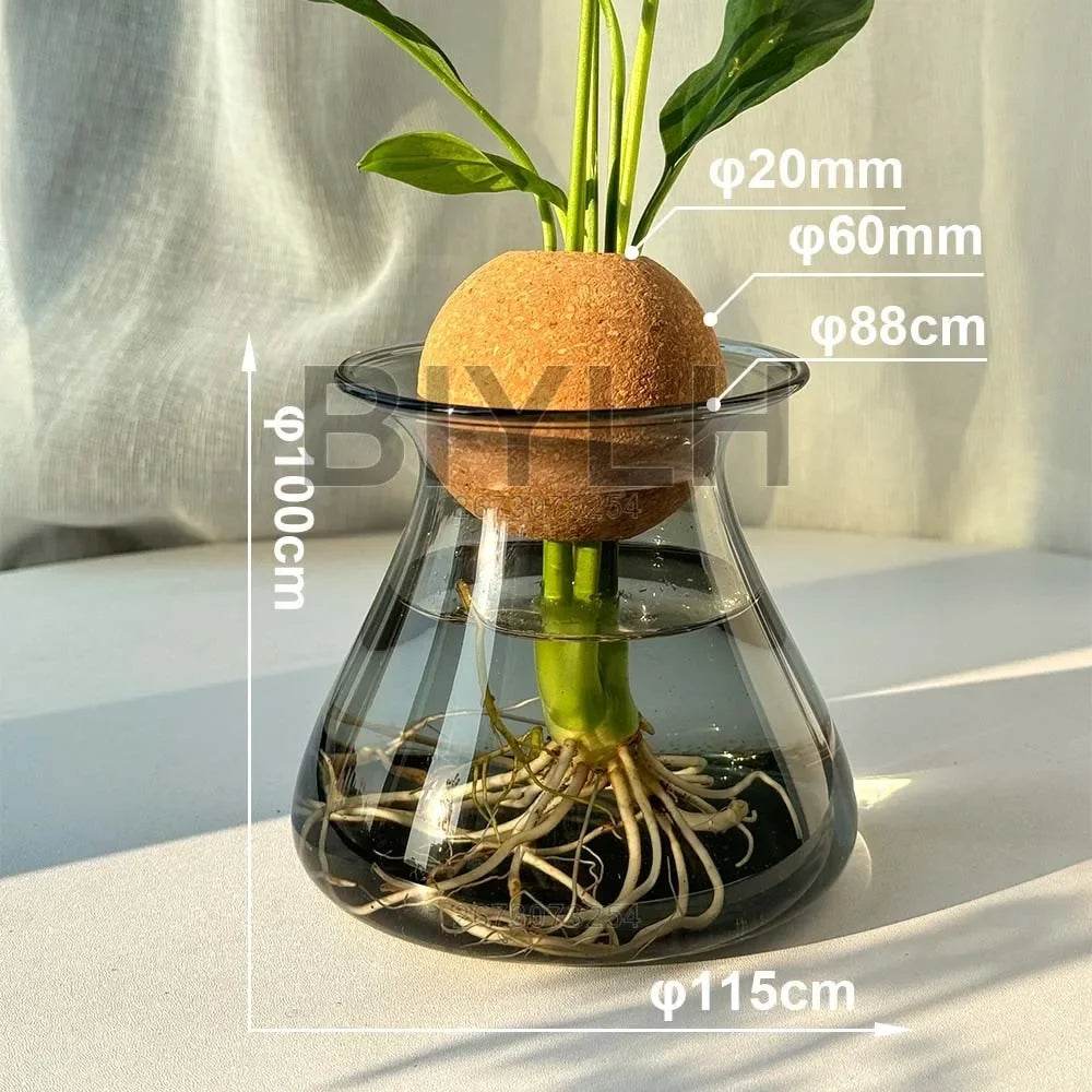 Transparent Hydroponic Plant Flower Arrangement Small Vase Tabletop Decor Ornaments
