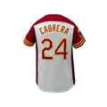 Men's Breathable Baseball Jersey V-Neck Short Sleeve "Venezuela 24" Stitched,Breathable Loose Fit Baseball Shirt for Casual Wear