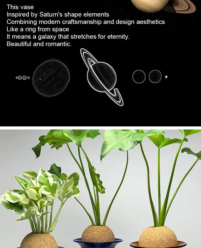 Transparent Hydroponic Plant Flower Arrangement Small Vase Tabletop Decor Ornaments