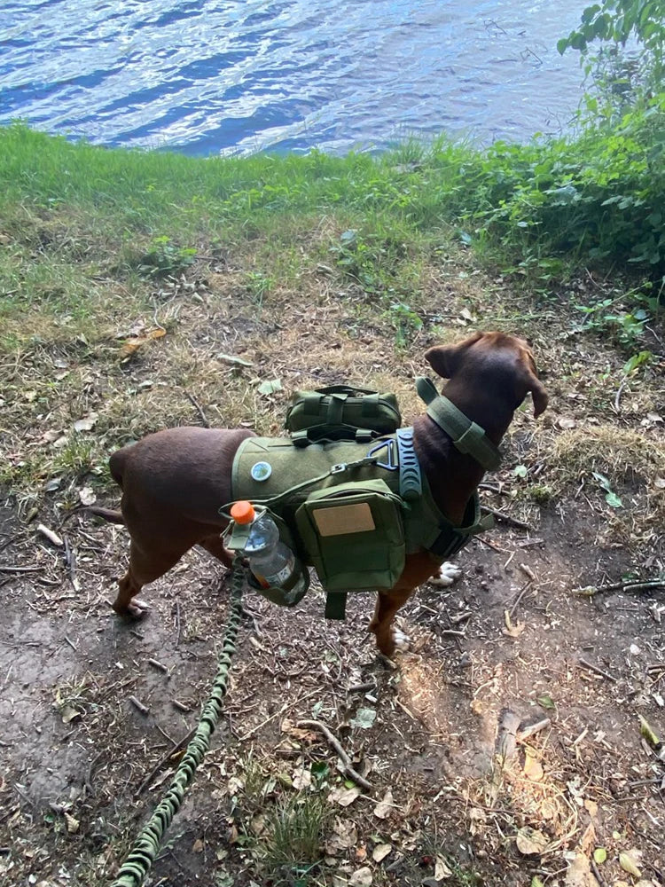 Tactical Dog Harness Collar Leash Molle Pouches For Medium Large Dogs Pet German Shepherd Training Walking Vest Dog Harnesses